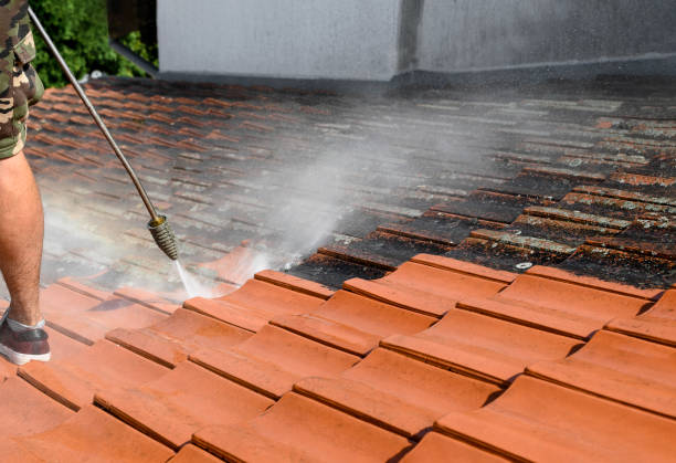 Best Exterior Home Cleaning  in Mazomanie, WI